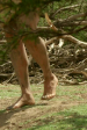 Naked and Afraid S16E02 720p WEB h264-CBFM EZTV