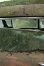 Roadkill S05E06 Junkyard 1956 Buick Hack WEB x264-ROBOTS [eztv]