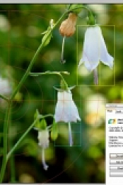 Atrise Golden Section 5.9.0 [Neverb]
