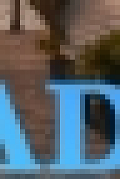 Tiny Paradise S02E10 Tiny Island Escape WEB x264-CAFFEiNE[TGx]