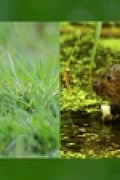 Springwatch S17E04 720p HDTV x264-DARKFLiX EZTV