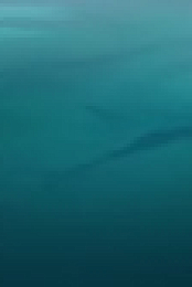 Primal S02E01 720p HEVC x265-MeGusta EZTV