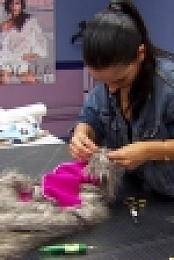 Project Runway S16E12 WEB h264-TBS[eztv]