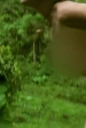 Naked and Afraid S12E08 XviD-AFG EZTV