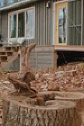 The Cabin Chronicles S03E08 XviD-AFG EZTV