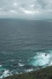 Back To Nature S01E06 XviD-AFG EZTV