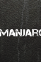Manjaro Linux 17.1.10 x86-64 (Multi/ITA)
