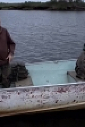 Life Below Zero S06E05 HDTV x264-YesTV EZTV