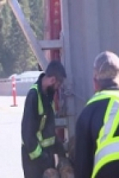 Highway Thru Hell S08E15 480p x264-mSD [eztv]