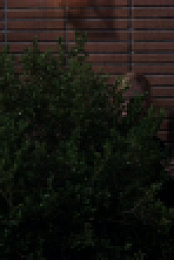 Mom S06E10 WEBRip x264-ION10