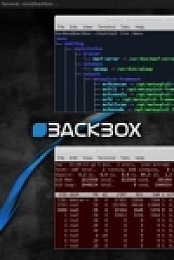 BackBox 4.5 amd64, [Iso - MultiLang]   [TNTVillage]