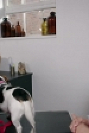 Embarrassing Pets S01E18 720p HDTV X264-CREED [eztv]