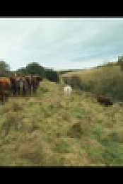 Clarksons Farm S02E04 1080p WEB H264-BIGDOC EZTV
