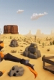 Desert Skies