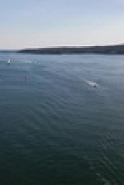 Wicked Tuna S12E07 XviD-AFG EZTV