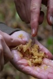 Moonshiners S11E15 480p x264-mSD EZTV