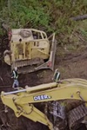 Highway Thru Hell S10E05 480p x264-mSD EZTV