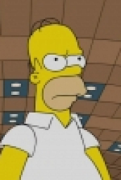 The Simpsons S27E20 HDTV x264 FLEET rarbg