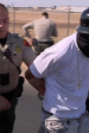 Cops S35E30 XviD-AFG EZTV