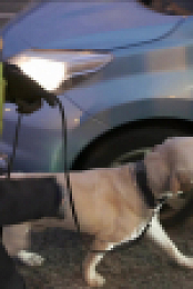 Border Control Sweden S01E11 1080p WEB H264-CBFM EZTV