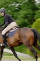 All-Round Champion - S01E03 - Equestrian WEBDL-1080p