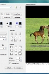 ConvertXtoDVD video converter{purestevil}release