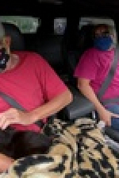 The Incredible Dr Pol S19E02 720p WEBRip x264-CBFM EZTV