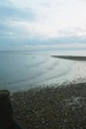 Shoreline Detectives S03E01 XviD-AFG EZTV
