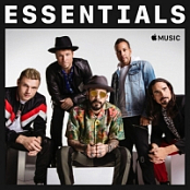 Backstreet Boys - Essentials (2020) Mp3 320kbps [PMEDIA] ️