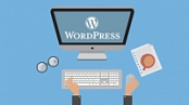 [UDEMY] Create a WordPress Website for Your Web Design Business [SymBiOTes].