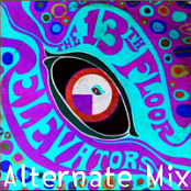 ROK002 13th Floor Elevators - Psychedelic Sounds Alternate Mix    FLAC