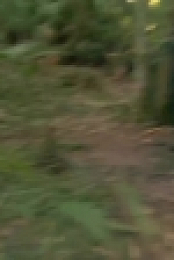 Naked and Afraid S12E01 720p WEB h264-BAE EZTV