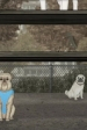 Animals S01E04 HDTV x264-KILLERS EZTV