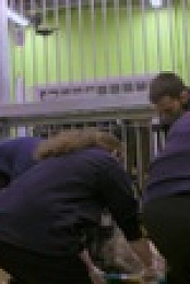 Inside the Zoo S02E03 1080p WEBRip x264-CBFM EZTV