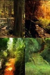 The Mysterious Forest Screensaver Application