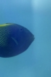 Tanked S12E02 720p AMZN WEBRip DDP2 0 x264-NTb EZTV