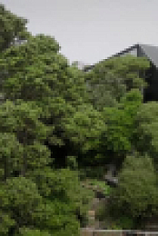 Designing Dreams S02E02 XviD-AFG EZTV