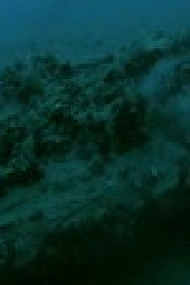 Drain The Oceans S04E08 XviD-AFG EZTV