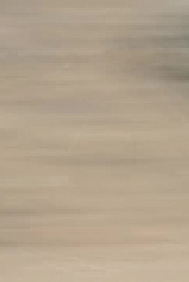 Roadkill S13E10 XviD-AFG EZTV