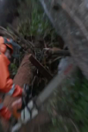 Timber Titans S01E01 480p x264-mSD EZTV