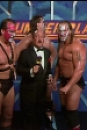 WWE SummerSlam 1990 1080p WEB h264-HONOR EZTV