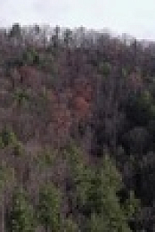 Mountain Men S12E01 XviD-AFG EZTV
