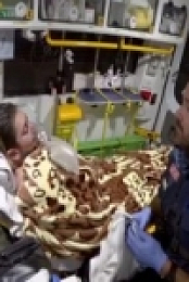 Paramedics S02E07 480p x264-mSD [eztv]
