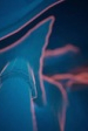 Secrets in the Ice S01 WEBRip AAC2 0 x264-CAFFEiNE EZTV
