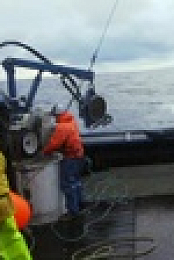 Deadliest Catch S19E14 1080p WEB h264-EDITH EZTV