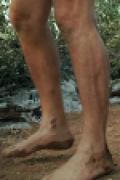 Naked and Afraid S17E01 720p WEB h264-CBFM EZTV