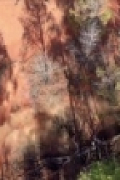 Outback Opal Hunters S03E02 WEB x264-LiGATE [eztv]