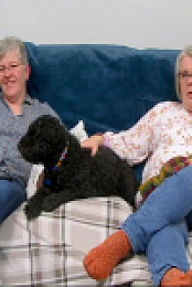 Gogglebox S24E09 480p x264-mSD EZTV