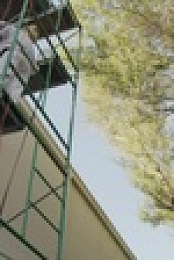 Bee Czar S01E05 720p WEBRip X264-REALiTYTV EZTV