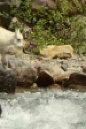 Hostile Planet S01E01 Mountains 720p WEBRip x264-CAFFEiNE [eztv]